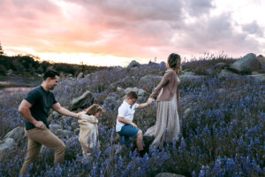 family walking together during sunset with lupines