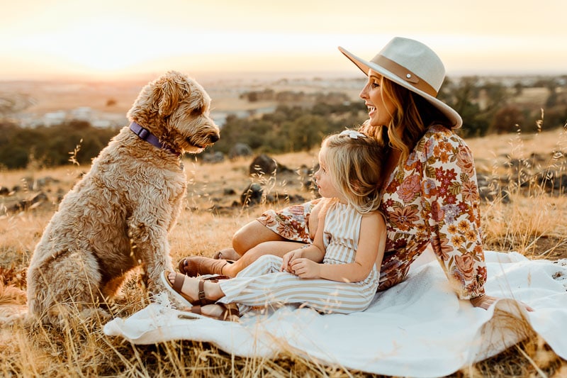 golden doodle family photo session